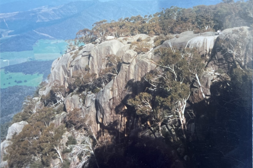 Sheer granite cliffs dotted with native trees 