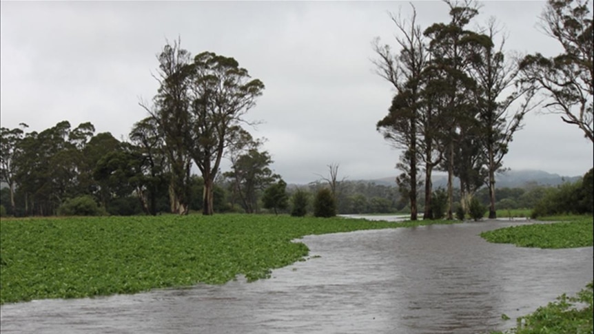 The TFGA says farmers should seek help if they feel overhwelmed by the flood damage.