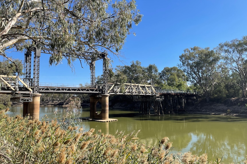 A bridge across the Murray River.