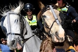 Two police officers on horses charge a crowd of protesters outside the Melbourne Exhibition Centre on a sunny day.