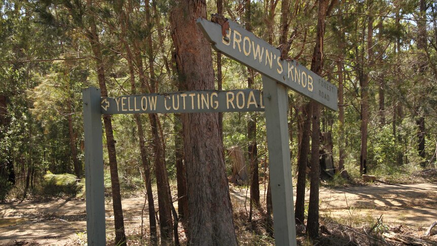 A road sign on a forest road in Newfoundland State Forest