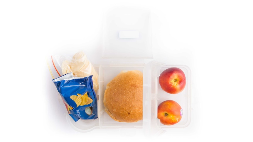 Vegemite and butter on a white roll, a packet of Smith's plain chips, rice crackers, and two nectarines in a clear lunch box.