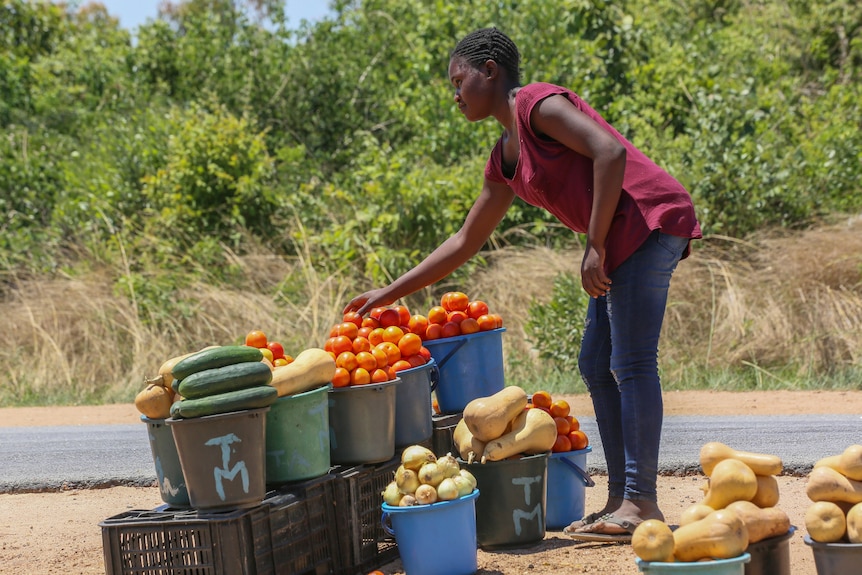 A young girl displays buckets of cucumbers, onions, oranges and pumpkins for sale by a roadside.