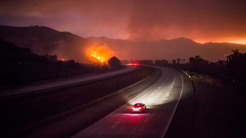 A car drives towards a bushfire.