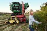 Dee-Anne Prather stands in the tea tree field with a tractor.