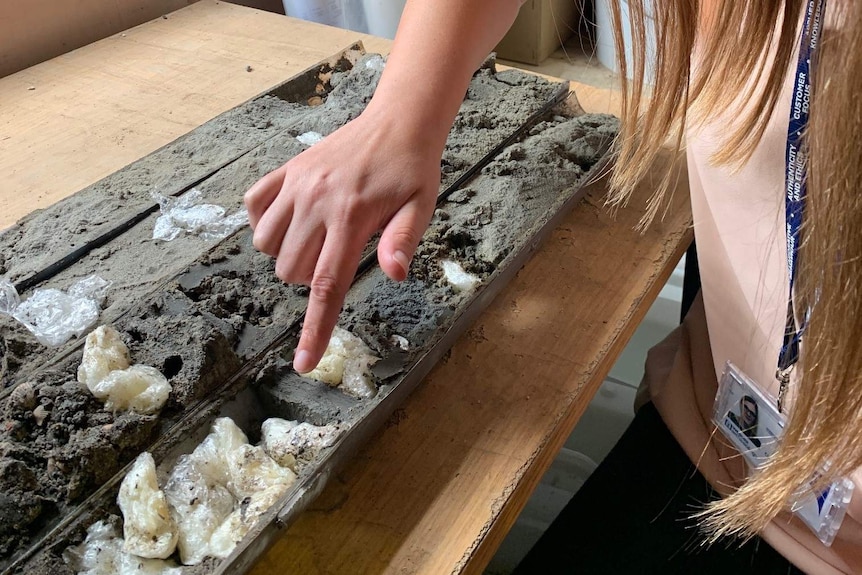 Dr Claire Mellet with a core sample from Doggerland