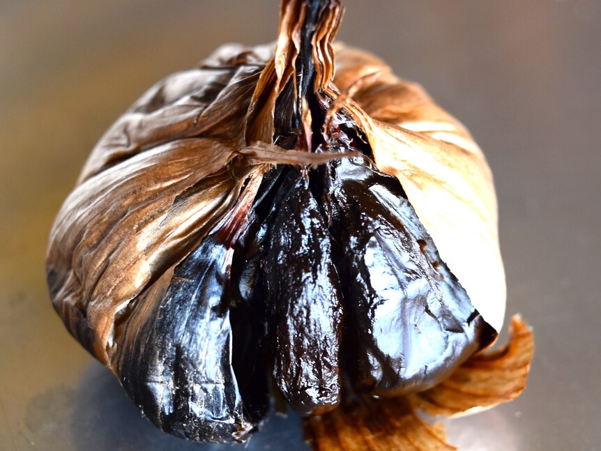 A bulb of dark black garlic sits on a stainless steel bench