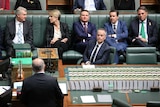 The Labor frontbench reacts to Scott Morrison's budget speech.