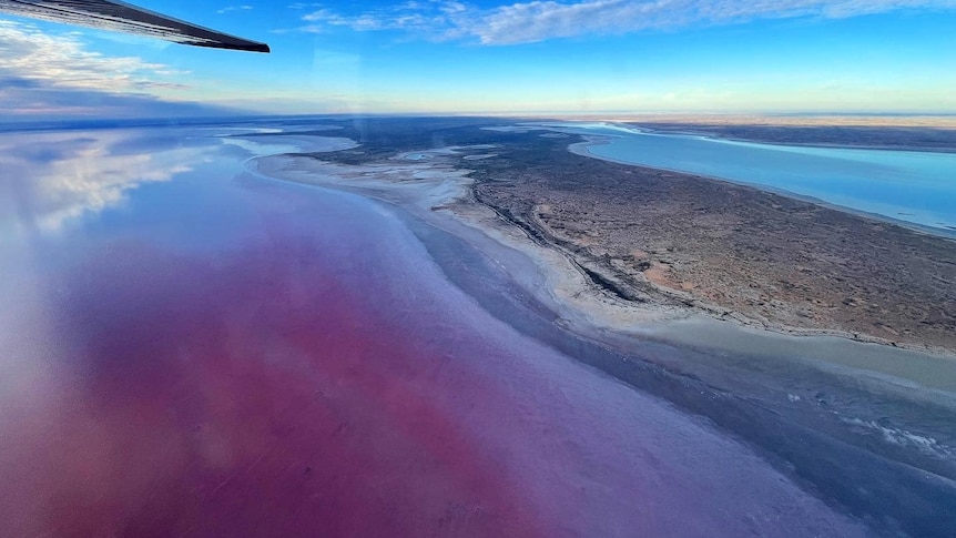 A plane flies over Kati Thanda lake Eyre and the water is hues of pink and blue against a blue sky and white clouds.