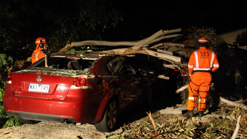 SES volunteers clear fallen trees from on top of a car in Chelsea Heights.