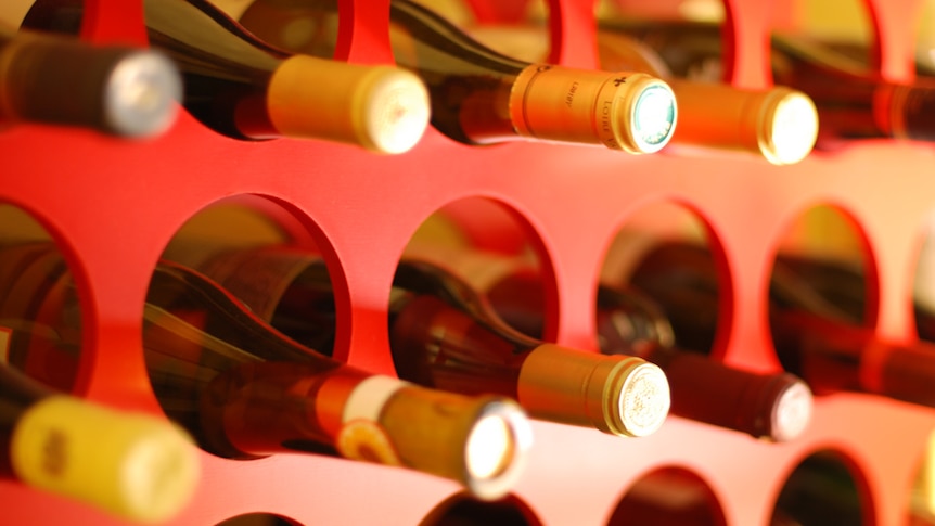 Bottles of wine lined up on a rack.