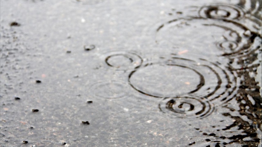 The bureau says the rains are expected to continue until the end of summer.
