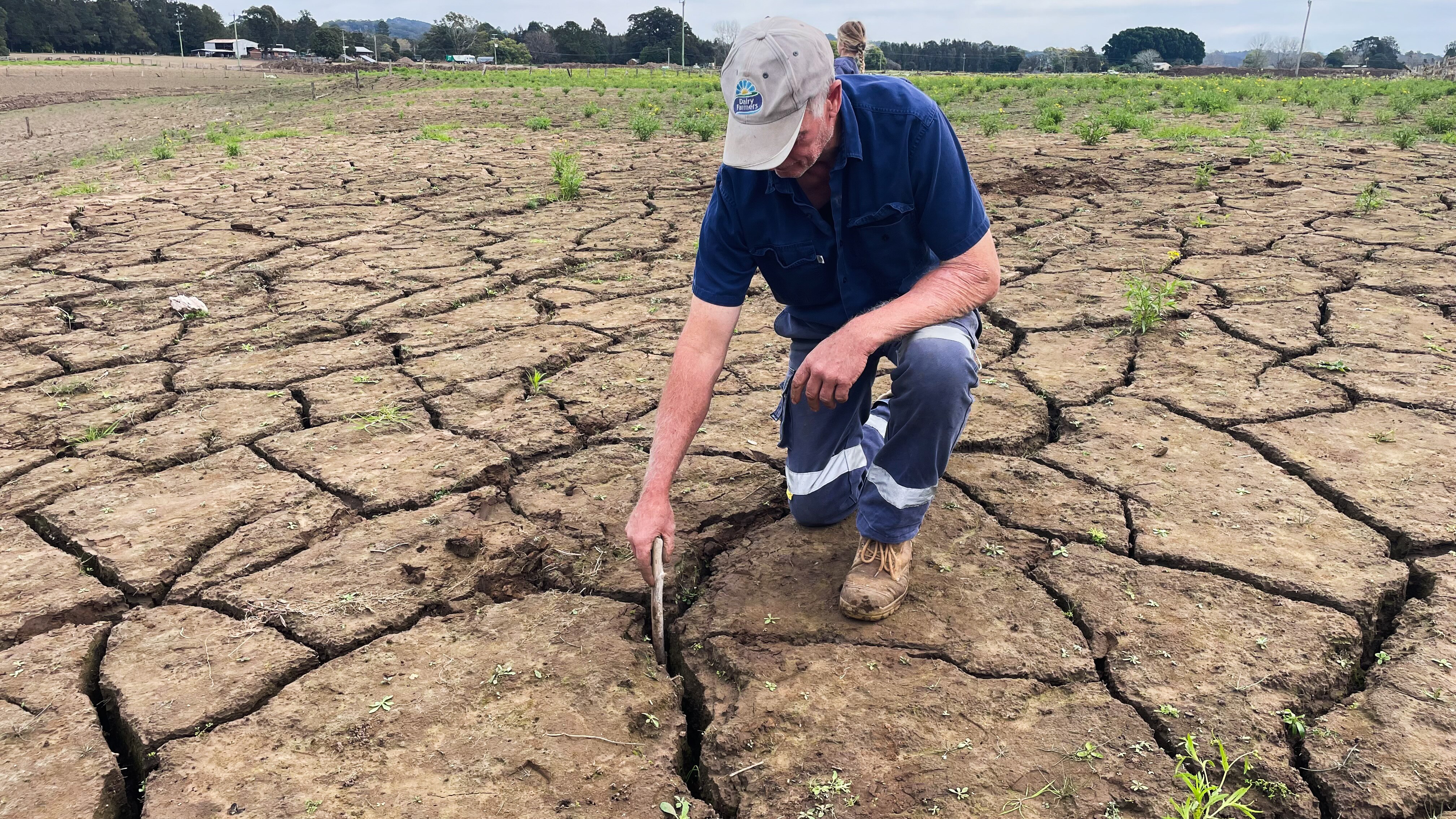 Man bending down next to dried out cracks in soil.