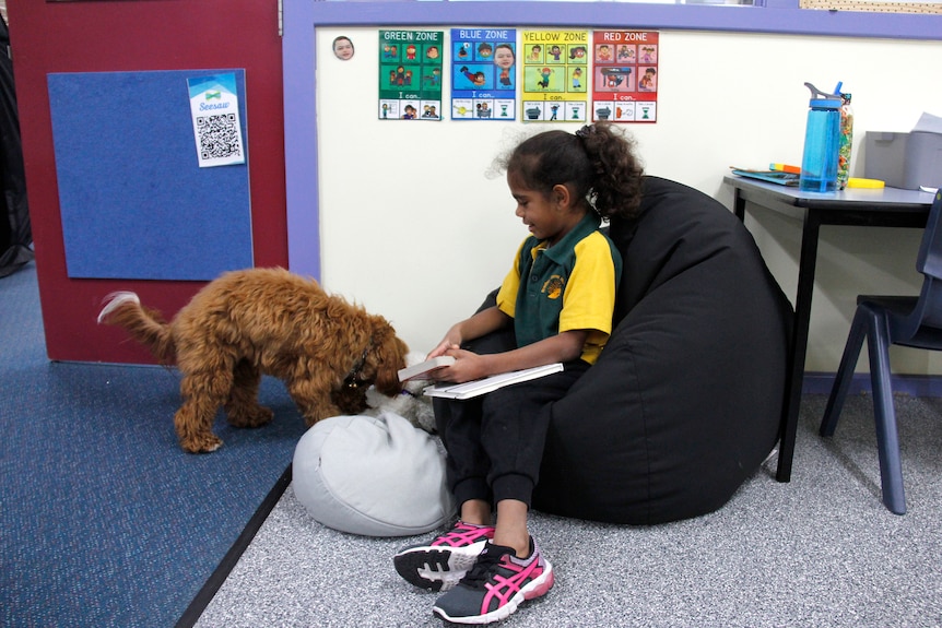 'Luna' the therapy dog with a student who is reading a book