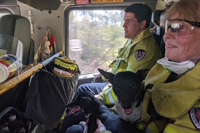 A man and a woman fire fighter sit in a fire truck. The woman has two small black dogs on her lap, and is smiling.