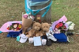 Flowers, candles, teddy bears and messages have been left near the site of a fatal crash in Abottsbury.