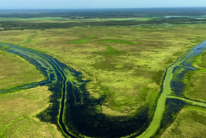 Aerial shot of Finniss River floodplain