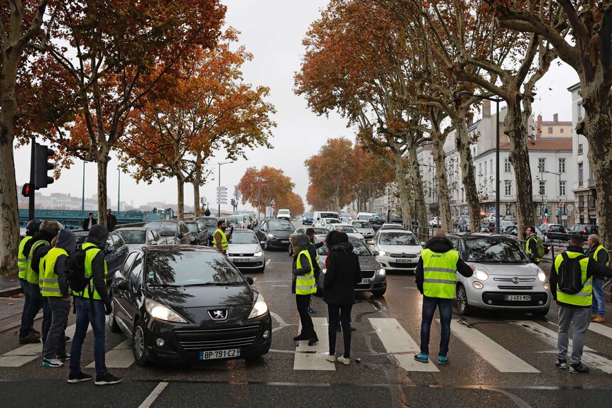 Protesters in bright yellow vests block cars in a tree-lined street in Lyon, France.