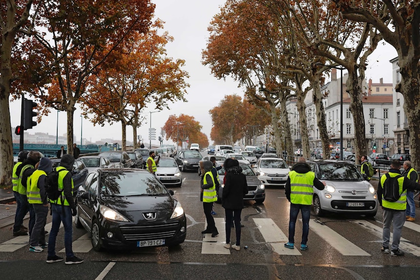 Protesters in bright yellow vests block cars in a tree-lined street in Lyon, France.