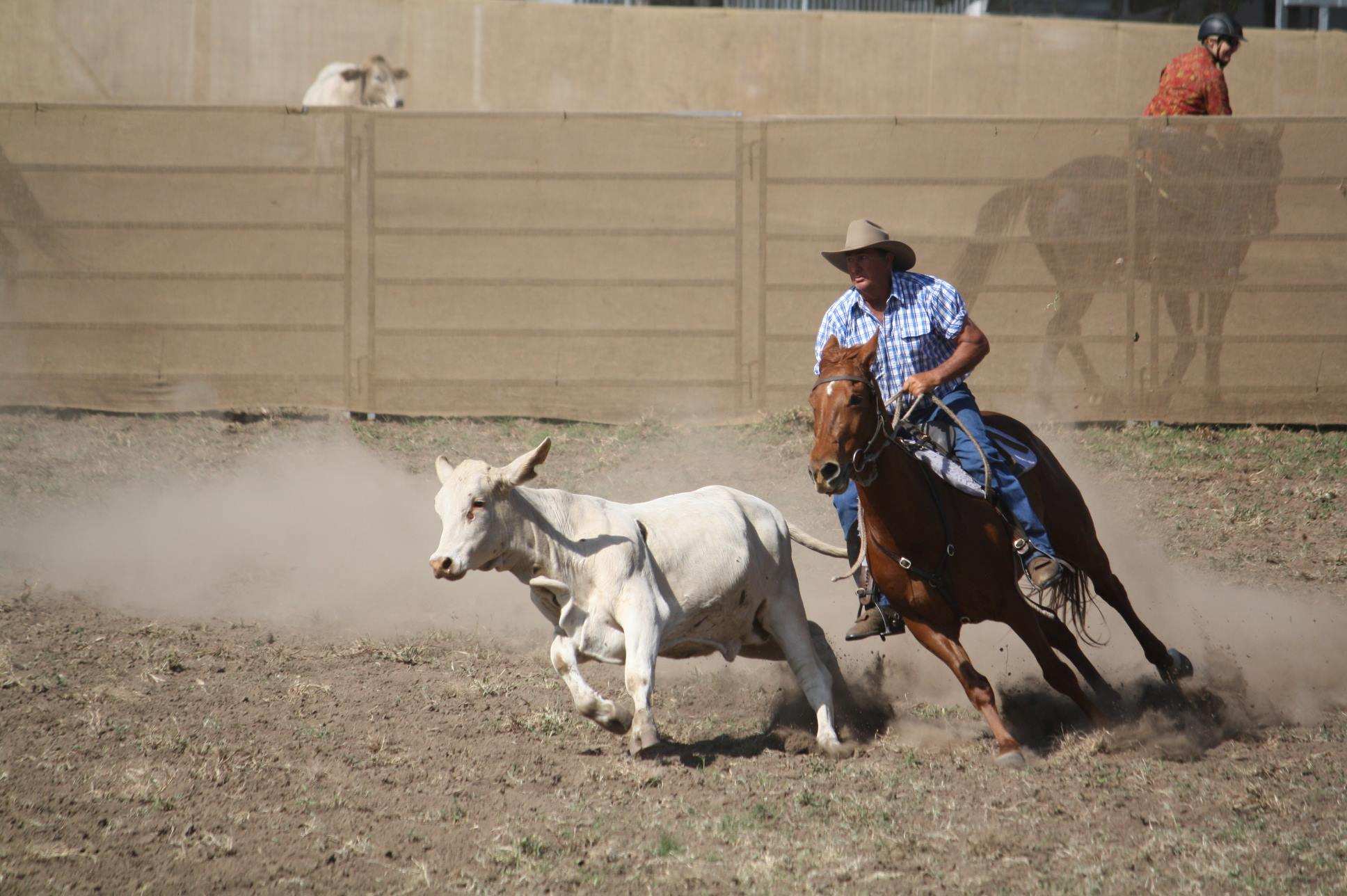 Queensland's oldest town, Gayndah, at risk of losing annual show due to ...