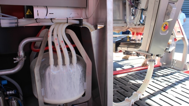 A dairy robot is capable of milking up to 80 cows a day, or about 2500 litres
