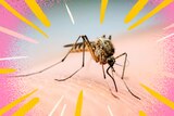 A mosquito bites an arm, surrounded by colourful graphics, in an article about preventing and treating mozzie bites.