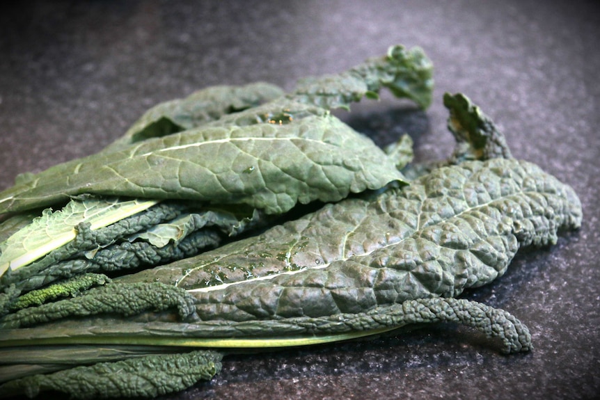 A bunch of fresh green kale, representing a DIY vegetable garden that doesn't require a backyard.