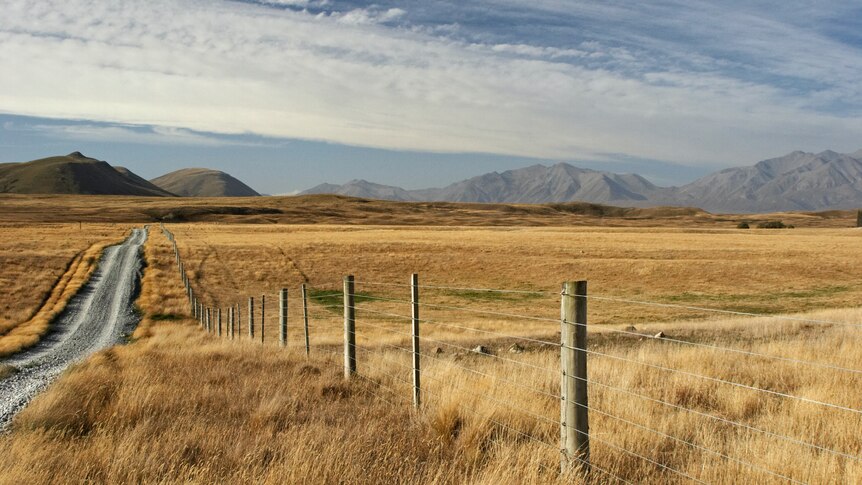 A country road with a fenced paddock to one side, and mountains in the background.