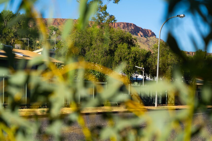 A photo of a street in Alice Springs. There is long grass in the foreground of the photo, and red mountains in the background.
