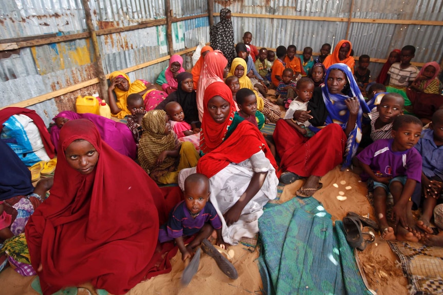 Displaced Somalis who fled the drought