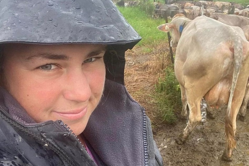 Natasha Yarrington in a raincoat next two cow walking through mud.