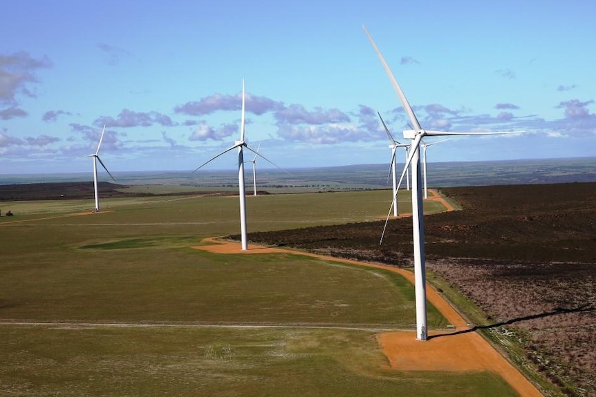 Grandes éoliennes avec de l'herbe verte en dessous