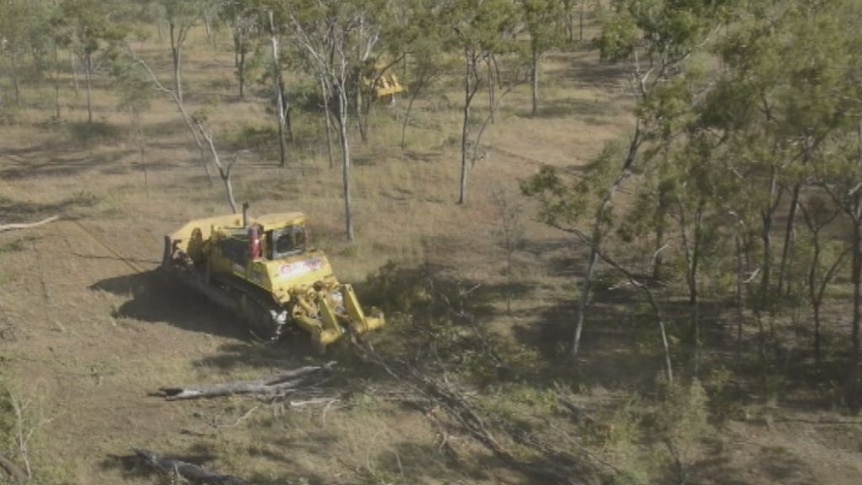 Footage: Land clearing in Cape York