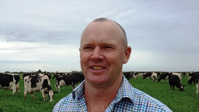 Farmer James Stacey looks into the distance as his black and white diary cows feed in the background