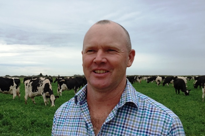 Farmer James Stacey looks into the distance as his black and white diary cows feed in the background