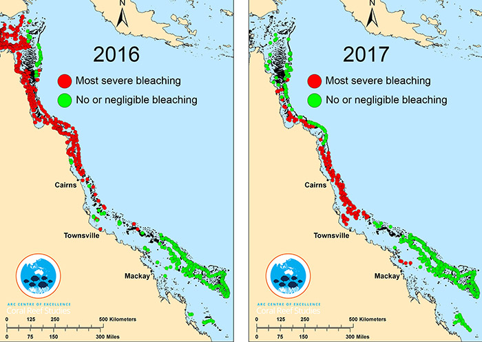 A graphic shows the northern part of the reef bleached in 2016 and the middle of the reef bleached in 2017.