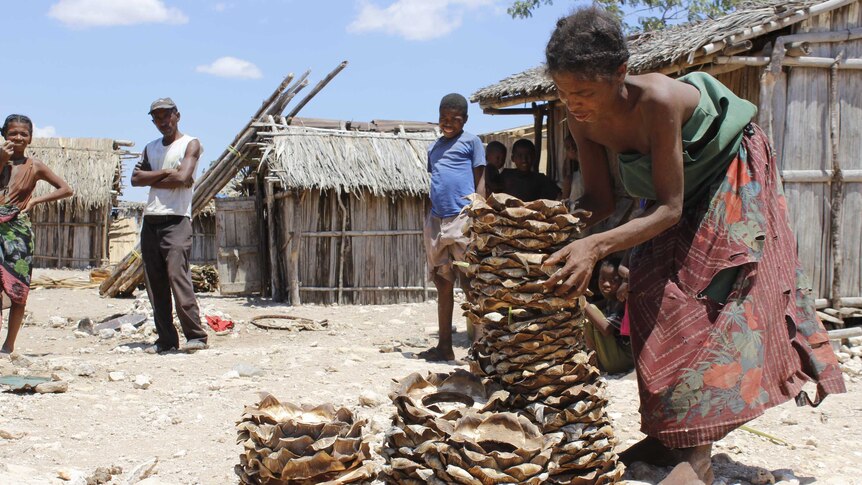 A woman bends over to stack plants with huts in the background in Madagascar.