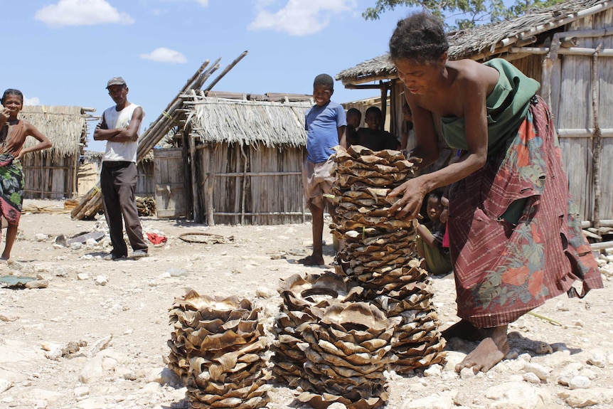 A woman bends over to stack plants with huts in the background in Madagascar.