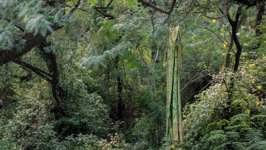 A piece of green, Islamic cloth hangings from a branch in a forest.