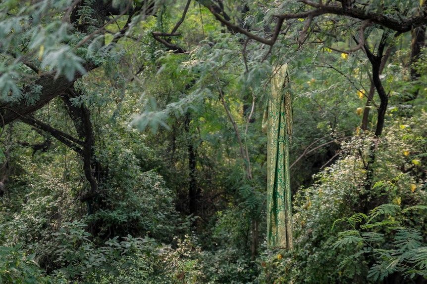 A piece of green, Islamic cloth hangings from a branch in a forest.