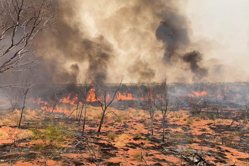 Burning scrub with black smoke