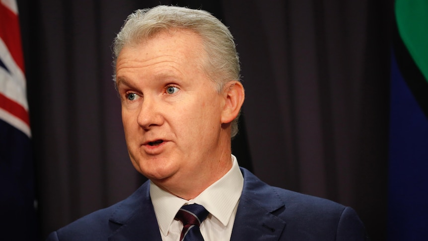Tony Burke in a suit at a press conference in front of a curtain and an australian flag looks to his right