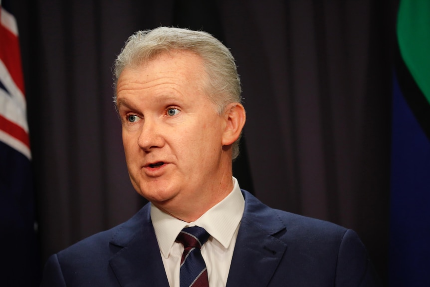 Tony Burke in a suit at a press conference in front of a curtain and an australian flag looks to his right