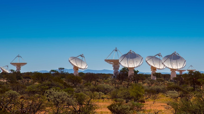 Huge white satellite dishes point into the vast blue sky among scrub in Western Australia.
