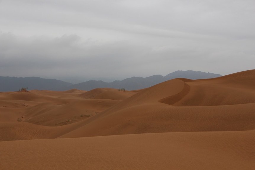 Rolling hills of a desert with mountains in the background