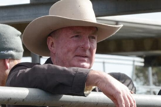 Stock agent Dale Keatley in Akubra style hat with arm over stockyard railing