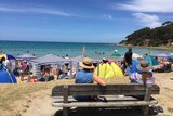 Two women sitting on a bench looking out at people on Lorne beach.