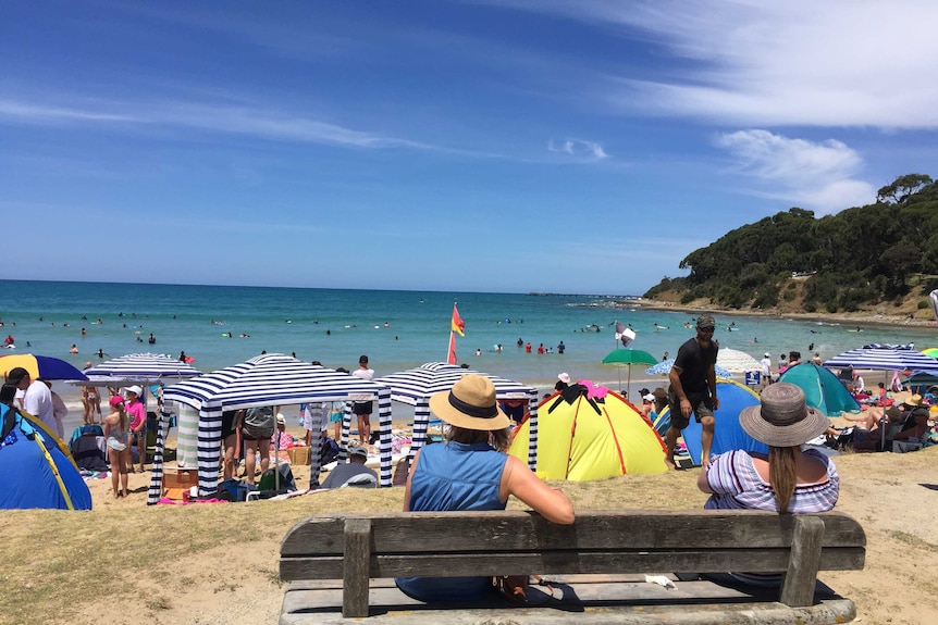 Woman sits on bench on Lorne Beach.