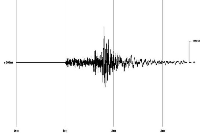 A seismic chart shows the magnitude-5.3 earthquake that rocked parts of south-east Queensland.