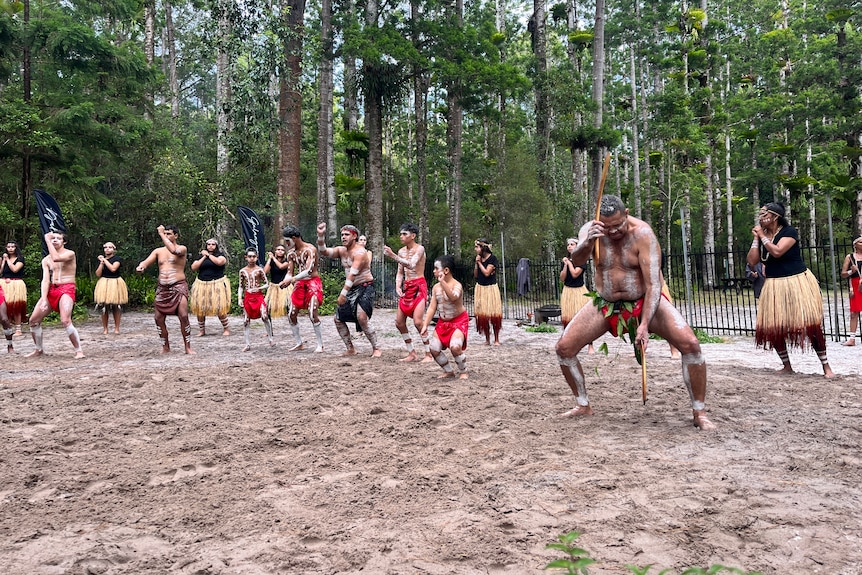 A line of Aboriginal traditional dances in a sandy area, trees behind